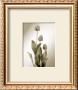 Tulpe by Edoardo Sardano Limited Edition Pricing Art Print