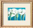 Turquoise Callas Ii by Alicia Sloan Limited Edition Print
