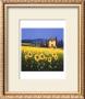 Golden Warmth by David Short Limited Edition Pricing Art Print