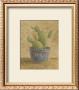 Texas Cactus by Mar Alonso Limited Edition Print