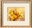 Colourful Flowers I by Gisela Funke Limited Edition Print