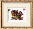 Lilacs Basket by Jeanne Hughes Limited Edition Print