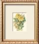 Yellow Roses by T. C. Chiu Limited Edition Pricing Art Print