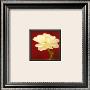 Ivory On Red by Jane Ann Butler Limited Edition Print