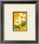 Shasta Daisy by Dona Turner Limited Edition Pricing Art Print