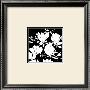 Black And White Magnolia by Franz Heigl Limited Edition Print