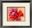 Colourful Flowers Ii by Gisela Funke Limited Edition Print