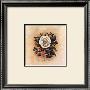 Antique Rose I by Mary Hughes Limited Edition Print