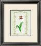 Parrot Tulip by Eva Komura Limited Edition Print