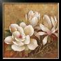 Sweet Magnolia Ii by Elaine Vollherbst-Lane Limited Edition Pricing Art Print