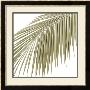 Palm Study Vii by Studio El Collection Limited Edition Print