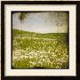 Field I by Ingrid Blixt Limited Edition Print