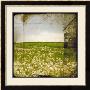 Field Ii by Ingrid Blixt Limited Edition Print