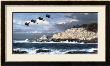 Shore Birds At Point Lobos by William S. Phillips Limited Edition Pricing Art Print