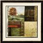 Autumnal Composition Ii by Jennifer Goldberger Limited Edition Print