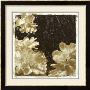 Sepia Peonies I by Chariklia Zarris Limited Edition Print