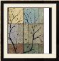 Arbor Elements by Jennifer Goldberger Limited Edition Pricing Art Print