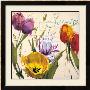 Summer Tulips by Antonio Massa Limited Edition Pricing Art Print