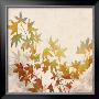 Turning Leaves I by Erin Lange Limited Edition Print