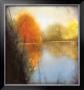 Autumn Marsh I by Mark St. John Limited Edition Pricing Art Print