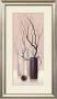 Slender Twigs Iii by Alice Wonder Limited Edition Print