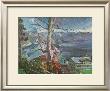 Tree At The Walchensee by Lovis Corinth Limited Edition Print