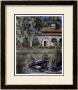 Patricia Whitney Pricing Limited Edition Prints