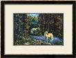 Enchanted Forest by Steve Roberts Limited Edition Pricing Art Print
