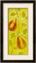 Hanging Pears by Lewman Zaid Limited Edition Pricing Art Print