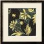 Flowering Night Ii by Sara Anderson Limited Edition Pricing Art Print