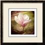 Spring Magnolia by Rebecca Tolk Limited Edition Print