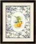 Orange Toile by Sarah Elizabeth Chilton Limited Edition Print