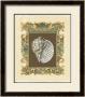 Mermaid's Shells I by Chariklia Zarris Limited Edition Pricing Art Print