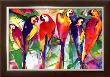 Parrot Family by Alfred Gockel Limited Edition Print
