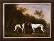 Two Greyhounds In A Landscape by John Boultbee Limited Edition Print