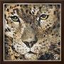 Leopard by Volynets Limited Edition Pricing Art Print