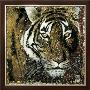 Tiger Portrait by Fabienne Arietti Limited Edition Print