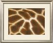 Giraffe I by Norman Wyatt Jr. Limited Edition Pricing Art Print