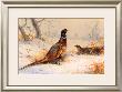 Cock And Hen Pheasant by Archibald Thorburn Limited Edition Print