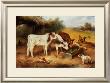 Farmyard Friends, 1920 by Walter Hunt Limited Edition Print