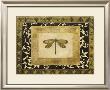 Dragon Fly I by Alan Hayes Limited Edition Print