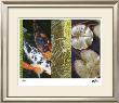 Koi Pond I by M.J. Lew Limited Edition Pricing Art Print