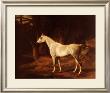 Forest Dapple by Jacques-Laurent Agasse Limited Edition Print