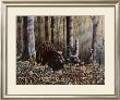 Wild Turkeys by Wilhelm J. Goebel Limited Edition Pricing Art Print