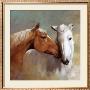 Making Friends by Spartaco Lombardo Limited Edition Print
