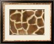 Giraffe Ii by Norman Wyatt Jr. Limited Edition Print
