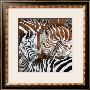 Zebra's Twist by Lisa Benoudiz Limited Edition Print