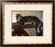 Cat On The Balustrade by Theophile Alexandre Steinlen Limited Edition Print