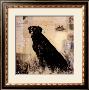 Best Of Breed by Mary Calkins Limited Edition Pricing Art Print