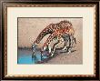Two Giraffes In Namibia by Roland Lobig Limited Edition Pricing Art Print